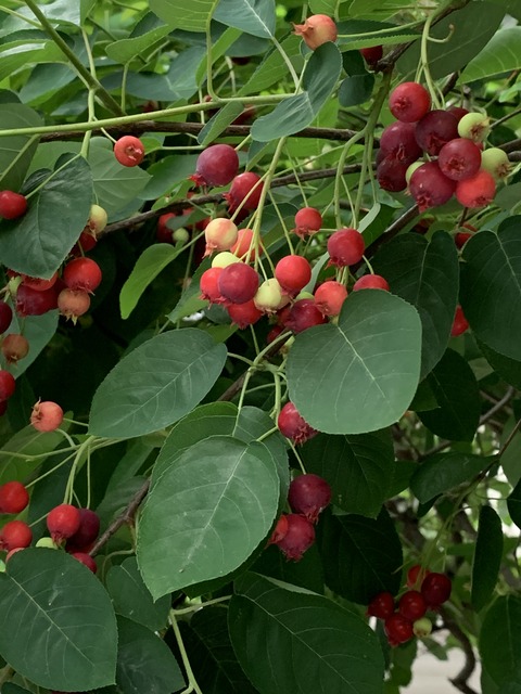 2521E4B0-F095-448E-8F0C-1E016FF9878F