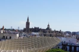 th_DSC04665.jpg