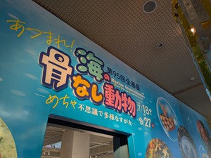 MP