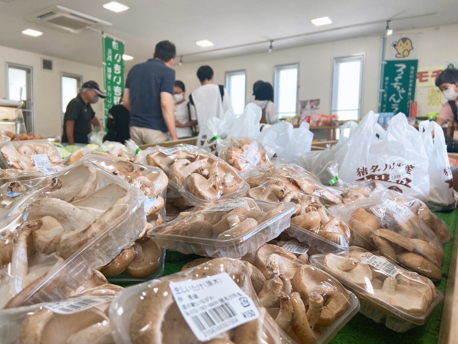 魅力いっぱい 2度目の猪名川町訪問 道の駅いながわ編 本西ゼミ生ブログ