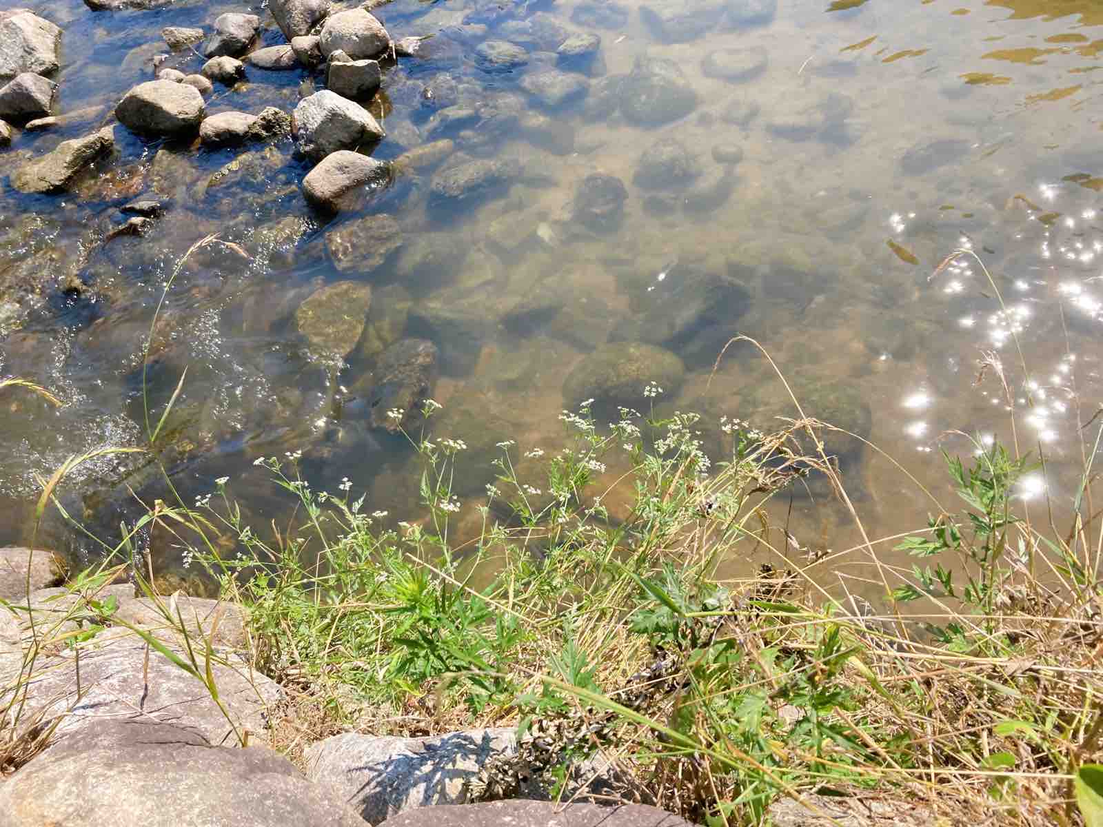 人が温かいまち 猪名川町 本西ゼミ生ブログ