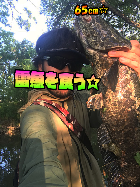 江戸川で65 雷魚を食べることになった件 江戸川でバス釣り にやまん生活