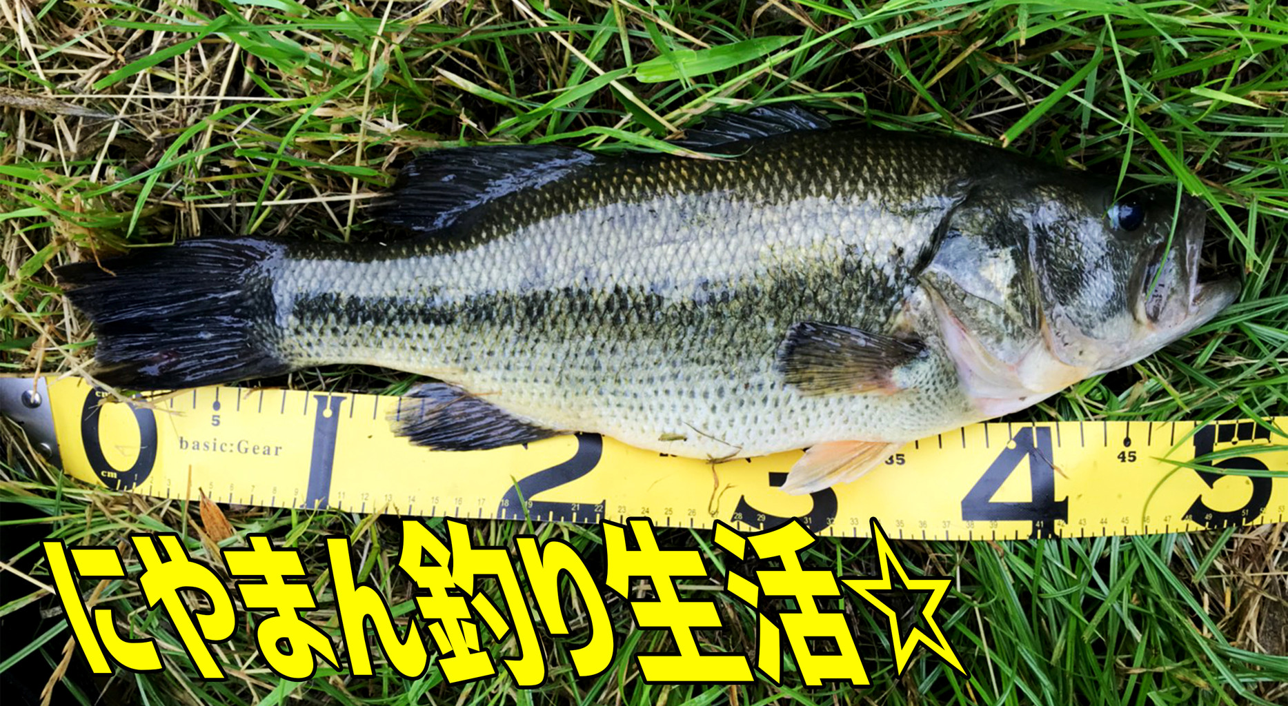 廉価版アンバサダーを現役復活 江戸川でバス釣り 江戸川でバス釣り にやまん生活