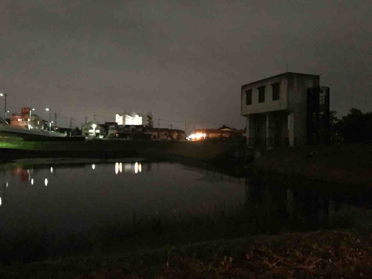 釣りキチは夜中の雨にも負けず 松伏公園でバス釣り 江戸川でバス釣り にやまん生活