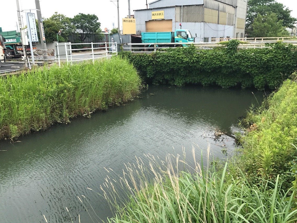 江戸川 手賀沼 バス釣り 江戸川でバス釣り にやまん生活