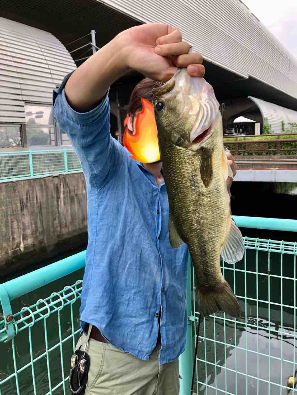 綾瀬川バス釣りで隊長フィーバー にやまん生活 江戸川でバス釣り にやまん生活