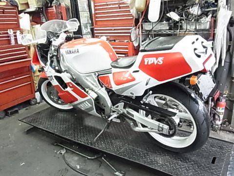 Amazon.co.jp: ヤマハ TZR250 街を駆けぬけるGPマシン 開発