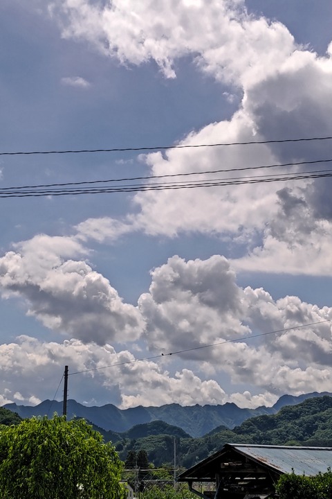 DSC_0509