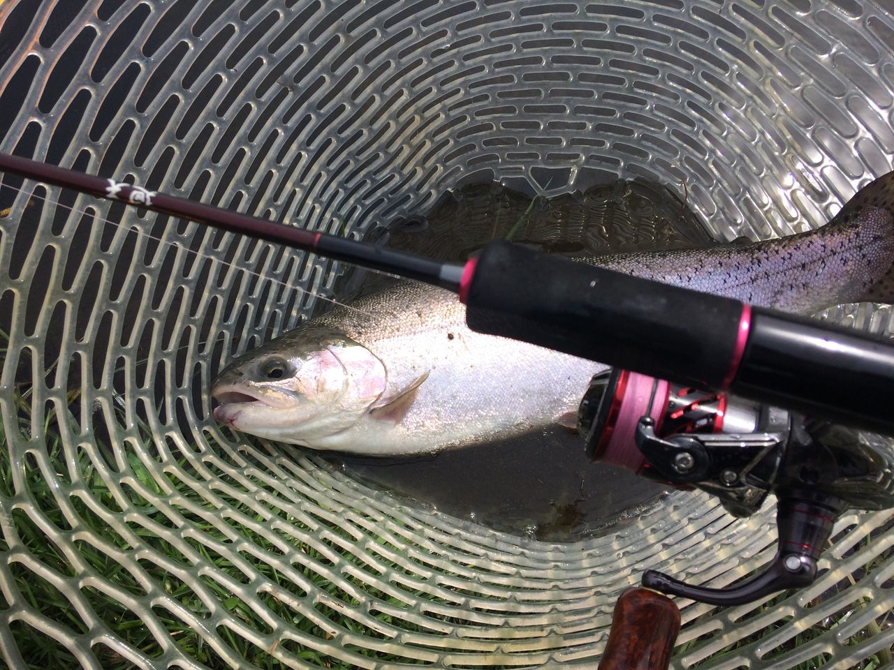 エリアトラウトロッド ジャクソン 廻天 Www Vetrepro Fr