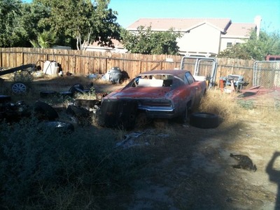 2612064_593172551_159large