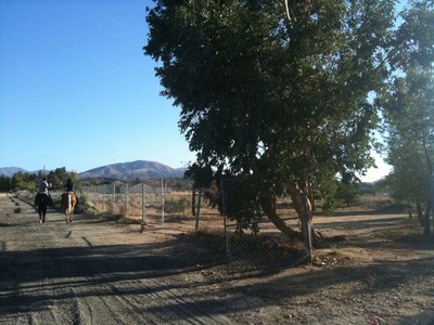 2612064_593172365_130large