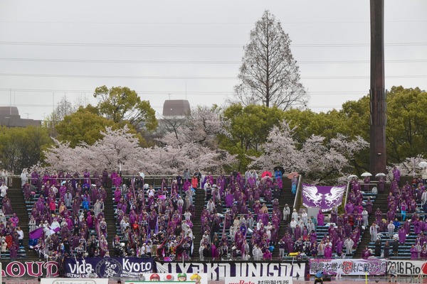 DSC_7375 (1)