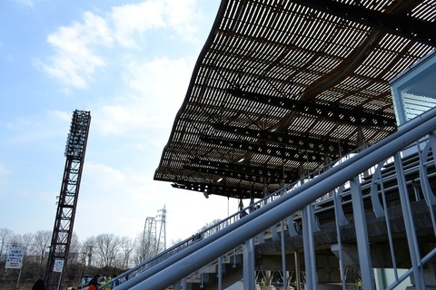 DSC_8865 (1)
