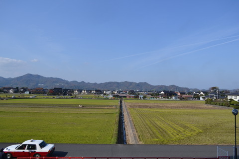 DSC_9046