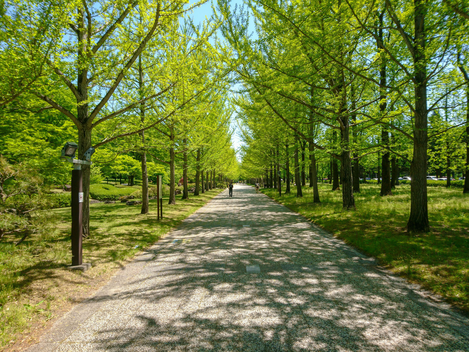 19年5月12日 山形vs千葉 Ndソフトスタジアム山形 パノラミックパラノイド 19年5月12日 山形vs千葉 Ndソフトスタジアム山形 パノラミックパラノイド