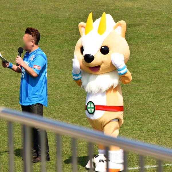 DSC_7800