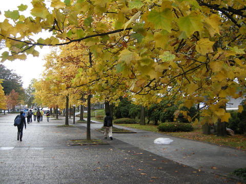 DSCN7020