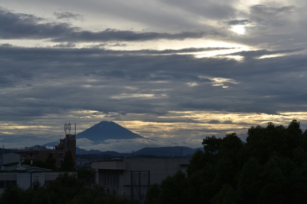 DSC_7278