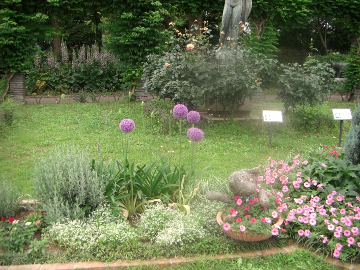 紫のでっかいボンボンの花 元玉拾いの暴走日記 紫のでっかいボンボンの花 元玉拾いの暴走日記