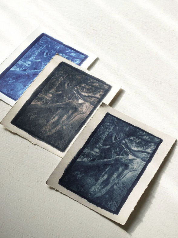 595164772320936209 2