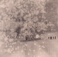 ;�򥫥åȣ�DSC_0020