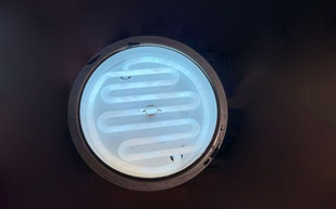 150198254_10223133504473262_1579070430756974387_o