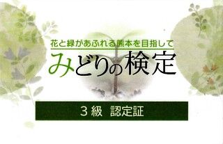 midorinokentei1