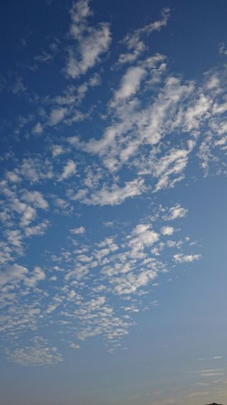 DSC_0227