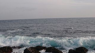DSC_0673