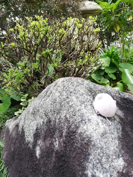 IMG_20190706_125127_20190718123657 (2)