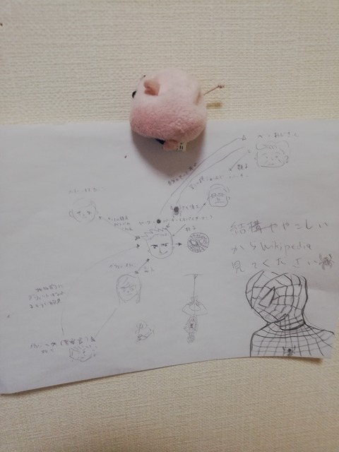 IMG_20190524_181359_20190524182630 (1)