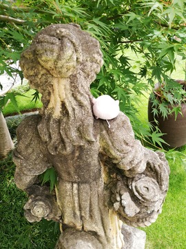 IMG_20190706_125926_20190706180931