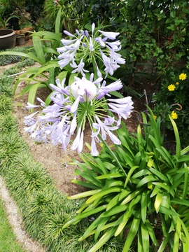 IMG_20190706_125215_20190711134527