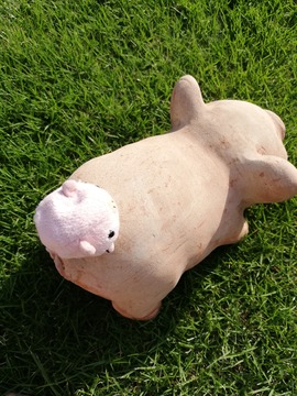 IMG_20190601_164555_20190606092408