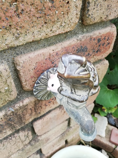 IMG_20190517_133919_20190522211139 (1)