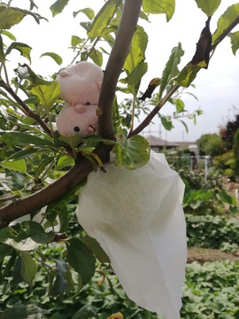 IMG_20190723_145850_20190802155844