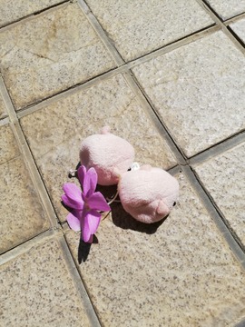 IMG_20190809_141207_20190813122849