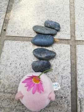 IMG_20190621_140421_20190623124223