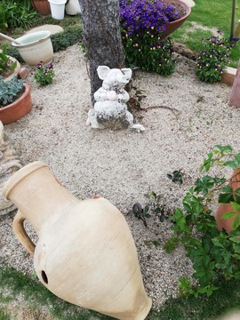 IMG_20190517_133301_20190702121638