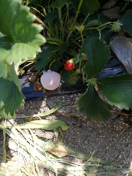 IMG_20190524_140454_20190603233729