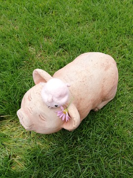 IMG_20190706_130150_20190715163205