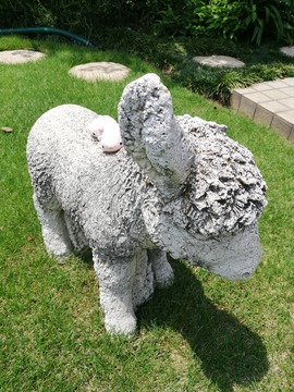 IMG_201907 23_124910_20190801220911 (1)