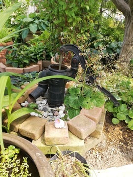 IMG_20190621_140635_20190701112914