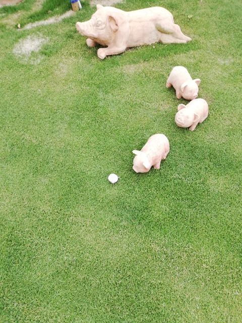 IMG_20190517_133626_20190520150400