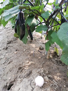 IMG_20190621_135822_20190623113613 (1)