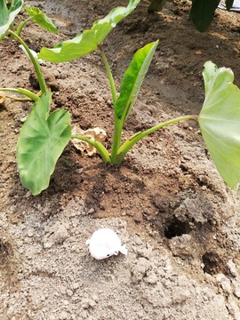 IMG_20190621_135802_20190624115829