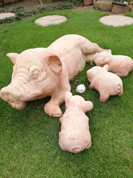 IMG_20190616_120141_20190820205508 (1)