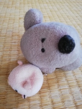 IMG_20190625_112359_20190703185034