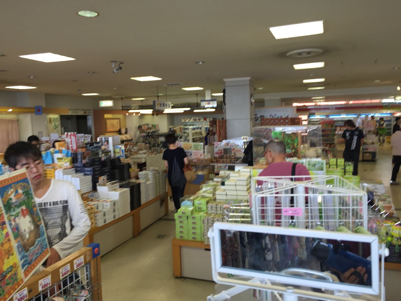 個人的 愛知県攻略 渥美半島 篠島編 Mougri09のblog