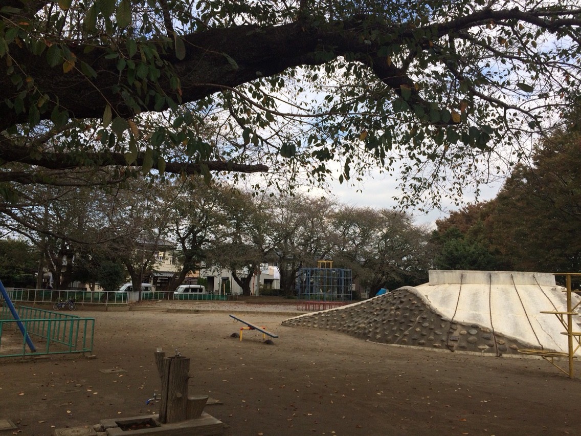 聖地巡礼 魔法使いの夜 夜の公園編 やまカフェ 聖地巡礼 魔法使いの夜 夜の公園編 やまカフェ